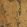 Kanoko Cork Wallpaper by Osborne & Little Woodsmoke