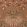 Karakusa Wallpaper by Designers Guild Copper