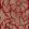 Kashmiri Wallpaper by Lewis & Wood Garnet Gold