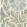 Kashmiri Fabric by Lewis & Wood Spelt