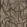 Kashmiri Fabric by Lewis & Wood Turkish Coffee