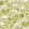 Kasvio Wallpaper by Marimekko Green