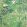 Katsura Fabric by Thibaut Emerald