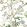 Katsura Wallpaper by Thibaut Green and White