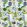 Kawana Fabric by Designers Guild Delft