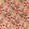 Kerala Fabric by Prestigious Textiles Jewel