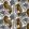 Ketunmarja Wallpaper by Marimekko Blue/Brown