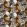Ketunmarja Wallpaper by Marimekko Grey/Brown