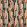 Kiki Fabric by Prestigious Textiles Autumn