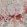Kilburn's Coral Wallpaper by 1838 Wallcoverings Coral Reef