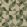 Kiruna Fabric by Nobilis Green