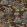 Knight's Tale Wallpaper by GP & J Baker Cocoa