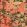 La Brasseria Fabric by MINDTHEGAP Salmon