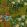 La Brasseria Fabric by MINDTHEGAP Fern