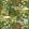 La Brasseria Wallpaper by MINDTHEGAP Fern
