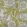 La Foret Wallpaper by Christopher Farr Cloth Fennel