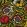 La Foret Wallpaper by Christopher Farr Cloth Poppy