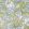 La Foret Fabric by Christopher Farr Cloth Smoke