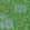 La Jungle Vinyl Wallpaper by Christopher Farr Cloth Matcha