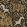 La Jungle Vinyl Wallpaper by Christopher Farr Cloth Mocha
