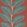 Lacinato Wallpaper by Thibaut Sunbaked