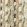 Lagna Fabric by Clarke & Clarke Linen/Charcoal
