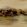 Lakeside Wallpaper by 1838 Wallcoverings Autumn