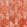 Lalique Fabric by Casal Corail