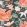 Lavinia Matte Wallpaper by Romo Serenata