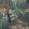 Le Toucan Wallpaper by 1838 Wallcoverings Charcoal