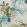 Le Toucan Wallpaper by 1838 Wallcoverings Emerald