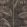 Le Tout Paris Wallpaper by Casadeco Noir Fusain