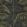 Le Tout Paris Wallpaper by Casadeco Vert Canopee