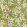 Leicester Wallpaper by Morris & Co Sour Green/Plum