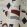 Regate Fabric by Lelievre Nautique