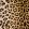 Leopard Fabric by Arley House Golden