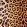 Leopard Fabric by Arley House Summer
