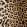 Leopard Fabric by Arley House Tan