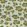 Leopard Spot Fabric by Titley and Marr Linden & Amber