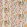 Les Chitas De Jouy Fabric by Casal Peche