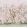 Les Oiseaux Panel Set Mural by Schumacher Blush