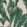 Lets Go Bananas Wallpaper by Woodchip & Magnolia Green/Blush