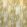 Leveille Fabric by Casal Beige