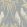 Bella Fabric by Lewis & Wood Camomile