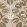 Berry Brothers Fabric by Lewis & Wood Tequila