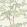 Beech Wallpaper by Lewis & Wood Document Green