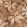 Lignaria Wallpaper by Caselio Bordeaux
