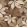 Lignaria Wallpaper by Caselio Noir