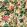 Lilum Wallpaper by Clarke & Clarke Olive/Raspberry