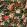 Lilum Wallpaper by Clarke & Clarke Russet/Noir